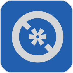 Entry Mask Icon